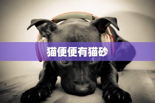 貓便便有貓砂