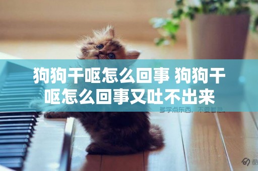 狗狗干嘔怎么回事 狗狗干嘔怎么回事又吐不出來