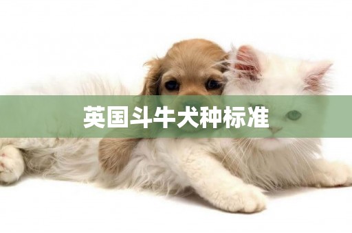 英國斗牛犬種標準