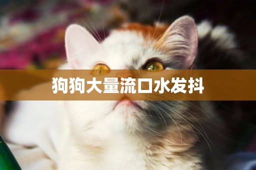 狗狗大量流口水發抖