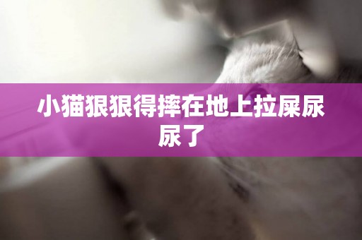小貓狠狠得摔在地上拉屎尿尿了