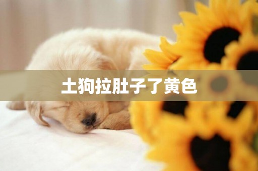 土狗拉肚子了黃色