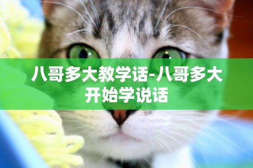 八哥多大教學話-八哥多大開始學說話