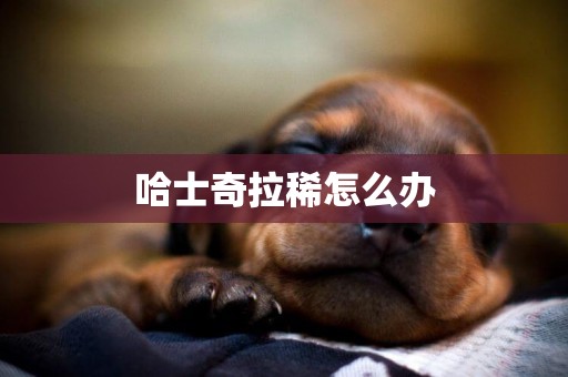 哈士奇拉稀怎么辦