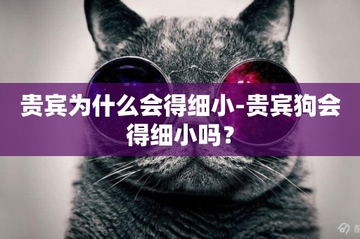 貴賓為什么會得細小-貴賓狗會得細小嗎？
