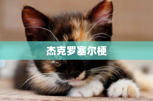 杰克羅塞爾梗
