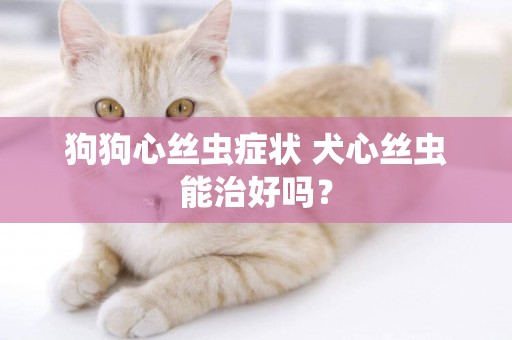 狗狗心絲蟲癥狀 犬心絲蟲能治好嗎？