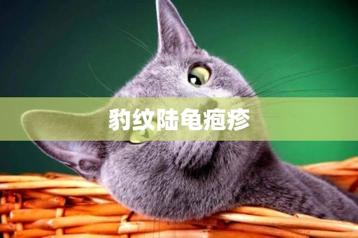 豹紋陸龜皰疹