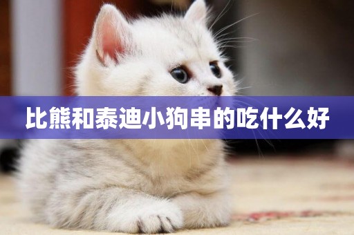 比熊和泰迪小狗串的吃什么好