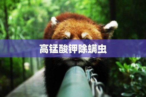 高錳酸鉀除螨蟲
