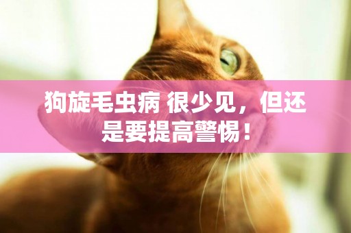 狗旋毛蟲病 很少見，但還是要提高警惕！
