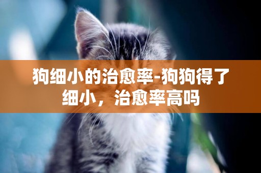 狗細小的治愈率-狗狗得了細小，治愈率高嗎