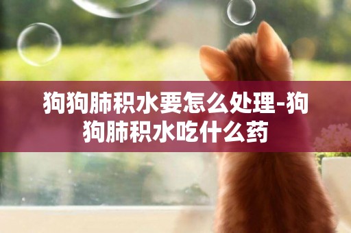 狗狗肺積水要怎么處理-狗狗肺積水吃什么藥