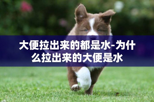 大便拉出來的都是水-為什么拉出來的大便是水