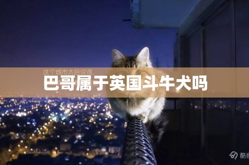 巴哥屬于英國斗牛犬嗎