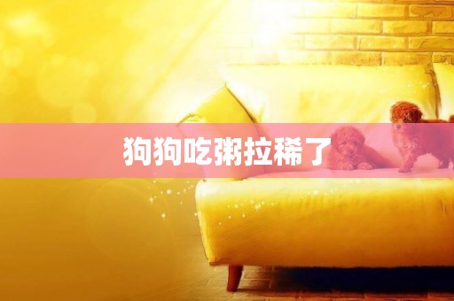 狗狗吃粥拉稀了