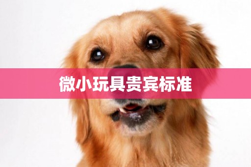 微小玩具貴賓標準