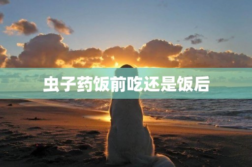 蟲子藥飯前吃還是飯后