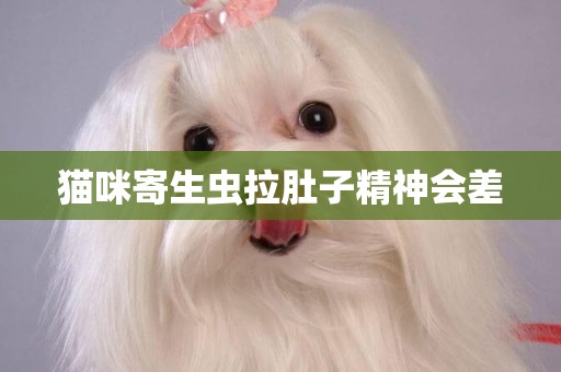 貓咪寄生蟲拉肚子精神會差