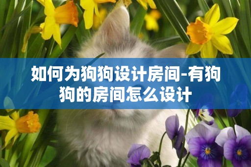 如何為狗狗設計房間-有狗狗的房間怎么設計