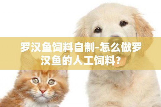 羅漢魚飼料自制-怎么做羅漢魚的人工飼料？