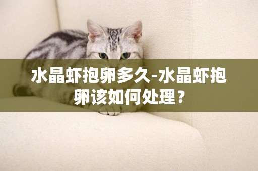 水晶蝦抱卵多久-水晶蝦抱卵該如何處理？