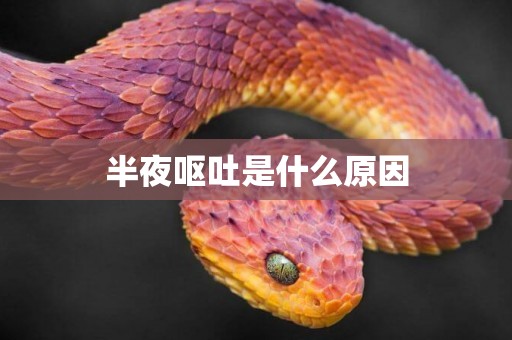 半夜嘔吐是什么原因