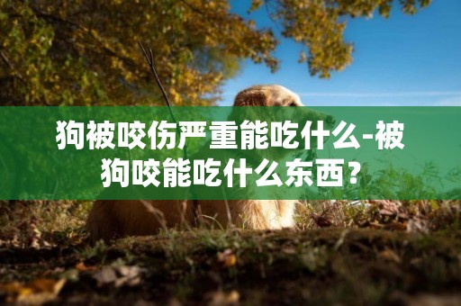 狗被咬傷嚴重能吃什么-被狗咬能吃什么東西？