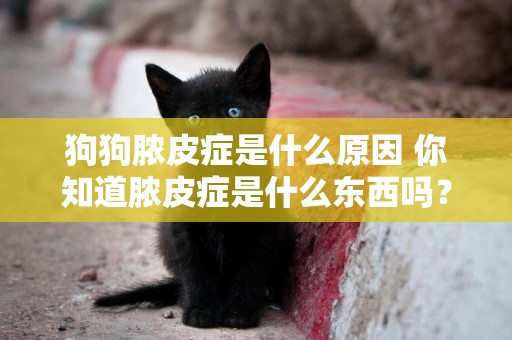狗狗膿皮癥是什么原因 你知道膿皮癥是什么東西嗎？