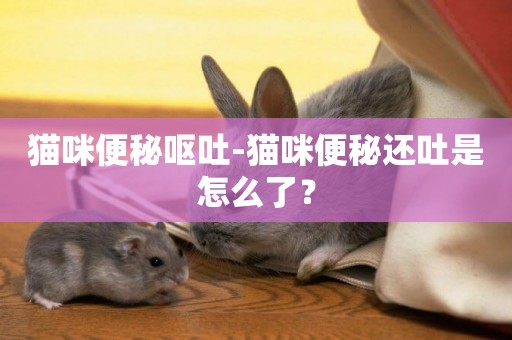 貓咪便秘嘔吐-貓咪便秘還吐是怎么了？