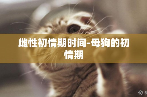 雌性初情期時間-母狗的初情期