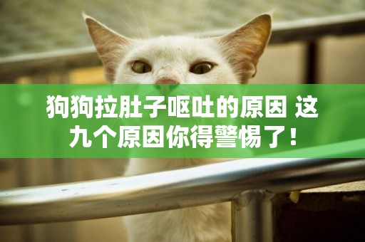 狗狗拉肚子嘔吐的原因 這九個原因你得警惕了！