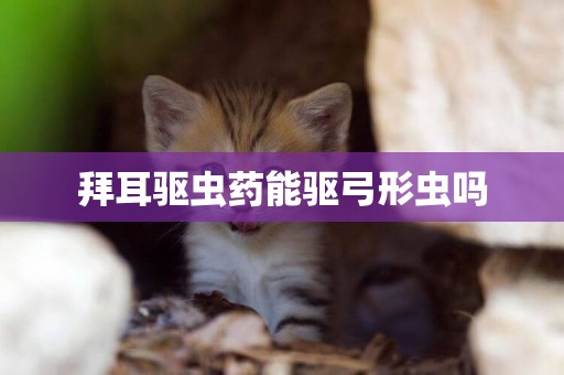 拜耳驅蟲藥能驅弓形蟲嗎