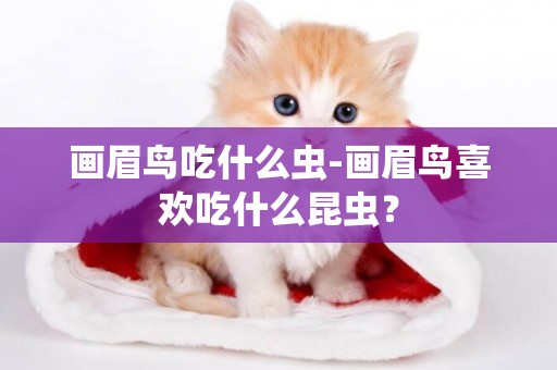 畫眉鳥吃什么蟲-畫眉鳥喜歡吃什么昆蟲？