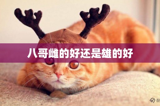 八哥雌的好還是雄的好