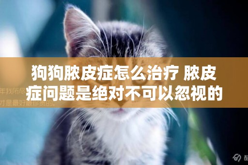 狗狗膿皮癥怎么治療 膿皮癥問題是絕對不可以忽視的！