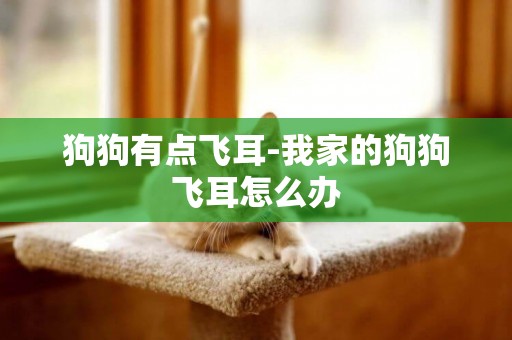 狗狗有點飛耳-我家的狗狗飛耳怎么辦