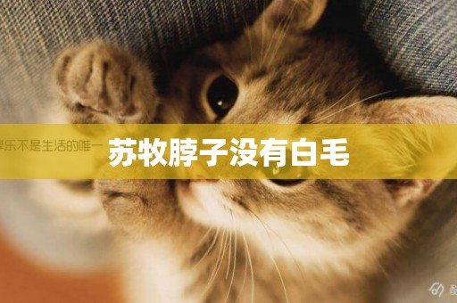 蘇牧脖子沒有白毛
