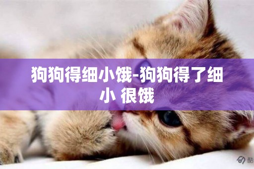 狗狗得細小餓-狗狗得了細小 很餓