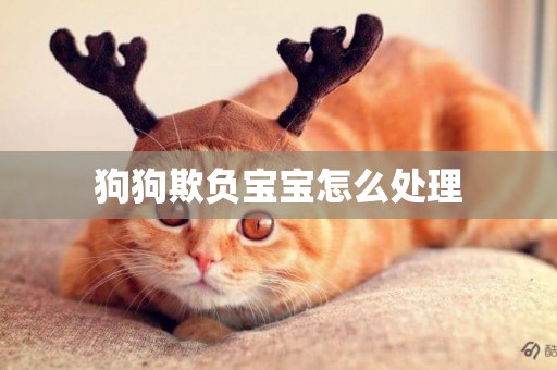 狗狗欺負寶寶怎么處理