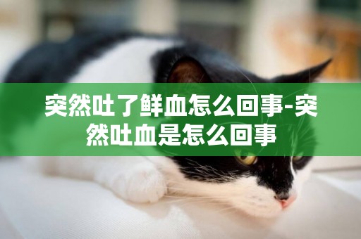 突然吐了鮮血怎么回事-突然吐血是怎么回事