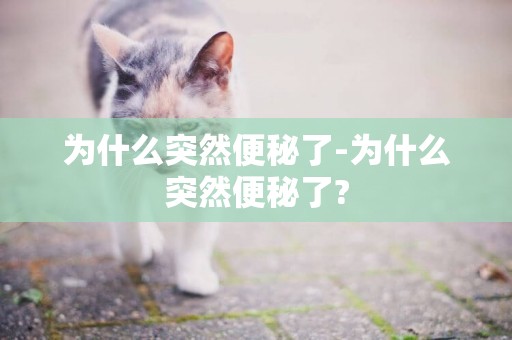 為什么突然便秘了-為什么突然便秘了?