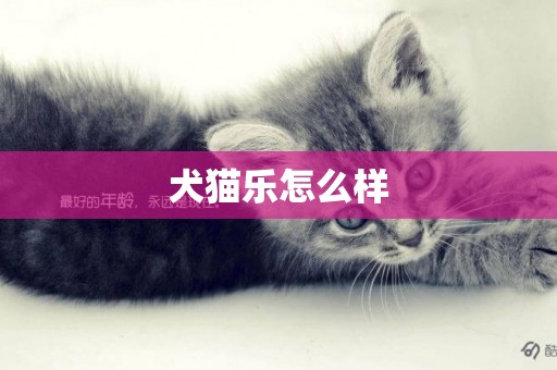 犬貓樂怎么樣