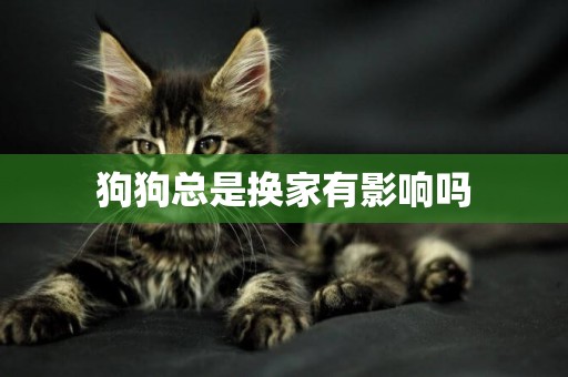狗狗總是換家有影響嗎