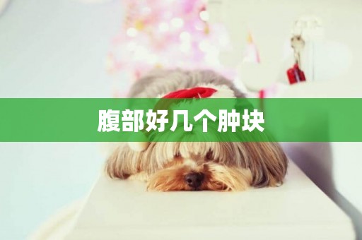 腹部好幾個腫塊