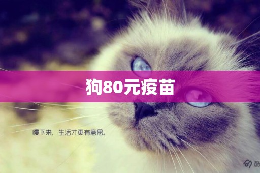 狗80元疫苗