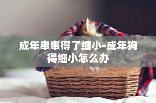 成年串串得了細小-成年狗得細小怎么辦