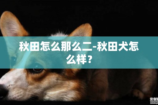 秋田怎么那么二-秋田犬怎么樣？