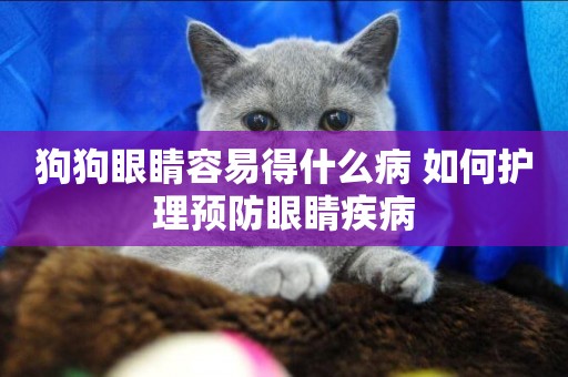 狗狗眼睛容易得什么病 如何護理預防眼睛疾病