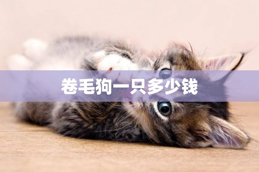 卷毛狗一只多少錢